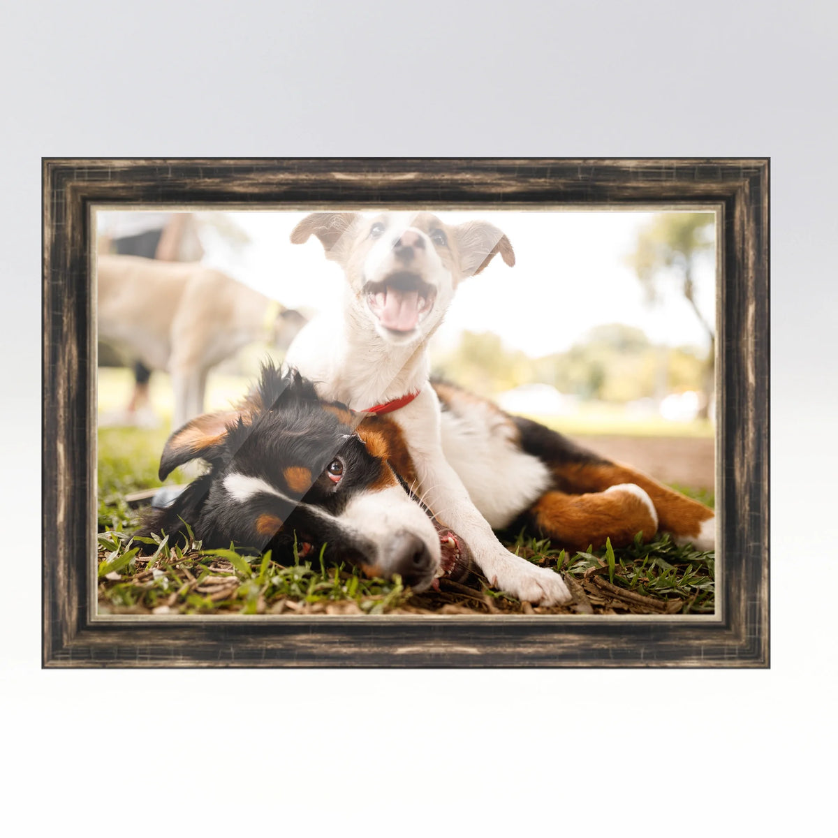 20x48 Frame Black Passaggi Solid Wood Picture Frame Width 1.5 Inches | Interior Depth 0.5 Inches |