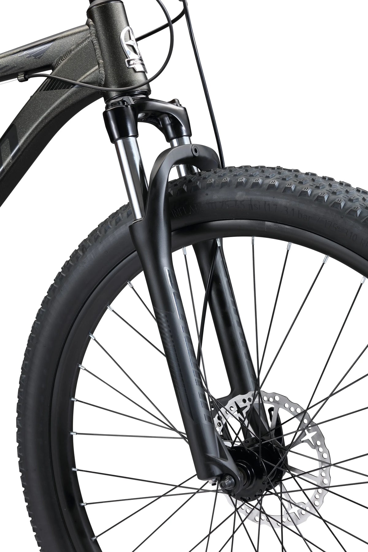 29-in. Axum Mens Mountain Bike, 19-in Frame, 8 Speeds, Black