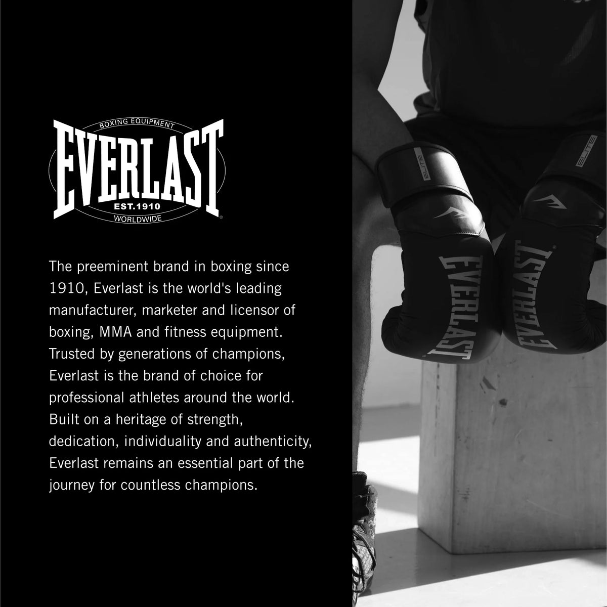 Everlast Youth Heavy Bag Starter Kit, 25lb – with Gloves, Wraps & Hanger