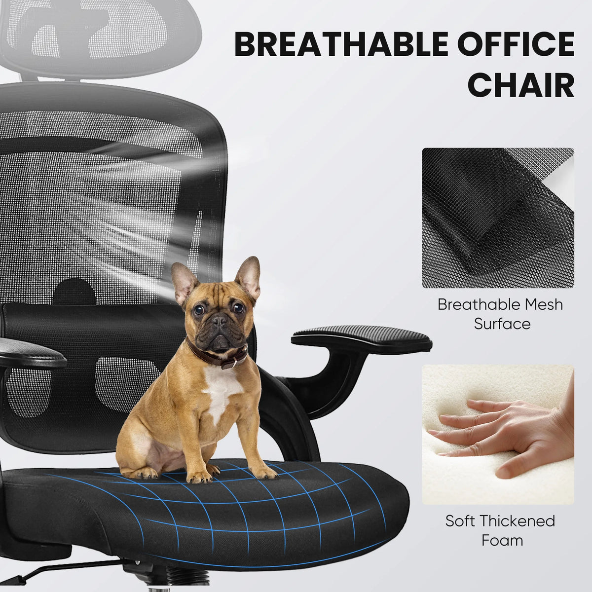 CONCETTA Ergonomic High Back Office Chair with Adjustable Lumbar Support, Headrest for Adults, Black