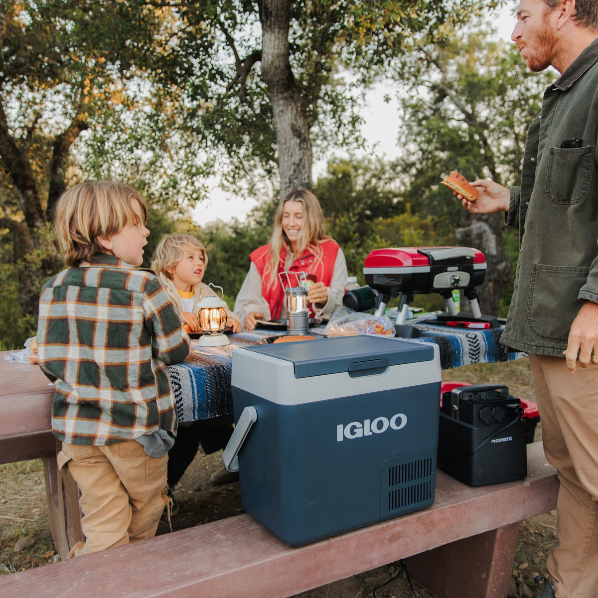 Igloo ICF 18 Active Electric Cooler Cooler, Rugged Blue