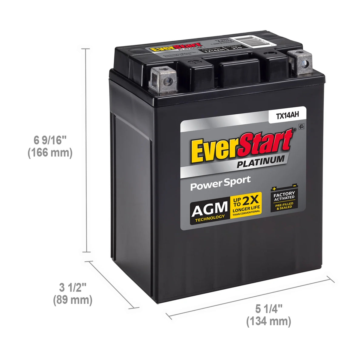 EverStart Platinum BOXED AGM PowerSport Battery, Group Size TX14AH 12 Volt, 210 CCA