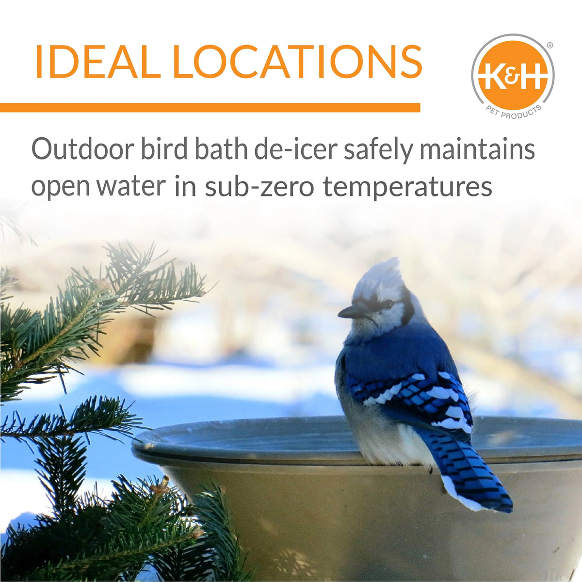 K&H Ice Eliminator Bird Bath Deicer