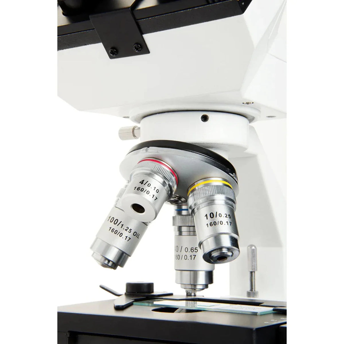 Celestron CB1000CF Compound Binocular Microscope, 40-1000X