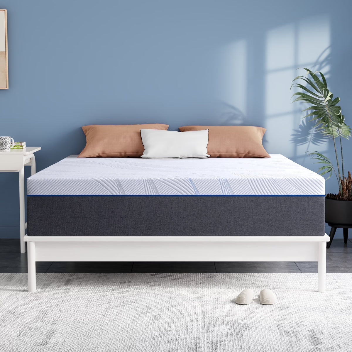 Queen Mattress, 10" Lecuneey Queen Memory Foam Mattress in a Box