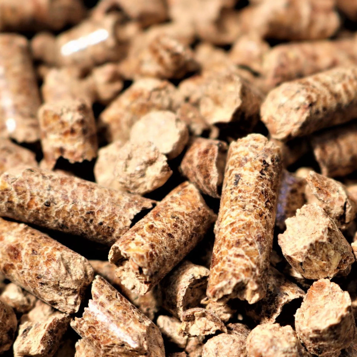 Bear Mountain BBQ Hardwood Gourmet Blend Smoker Pellets for Grill, 20 Lbs