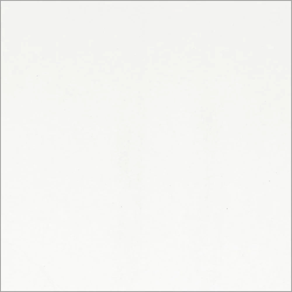 Delta Children Twin Loft Bed with Guardrail and Ladder, White