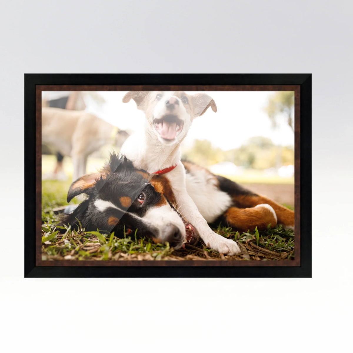 20x48 Frame Black Passaggi Solid Wood Picture Frame Width 1.5 Inches | Interior Depth 0.5 Inches |