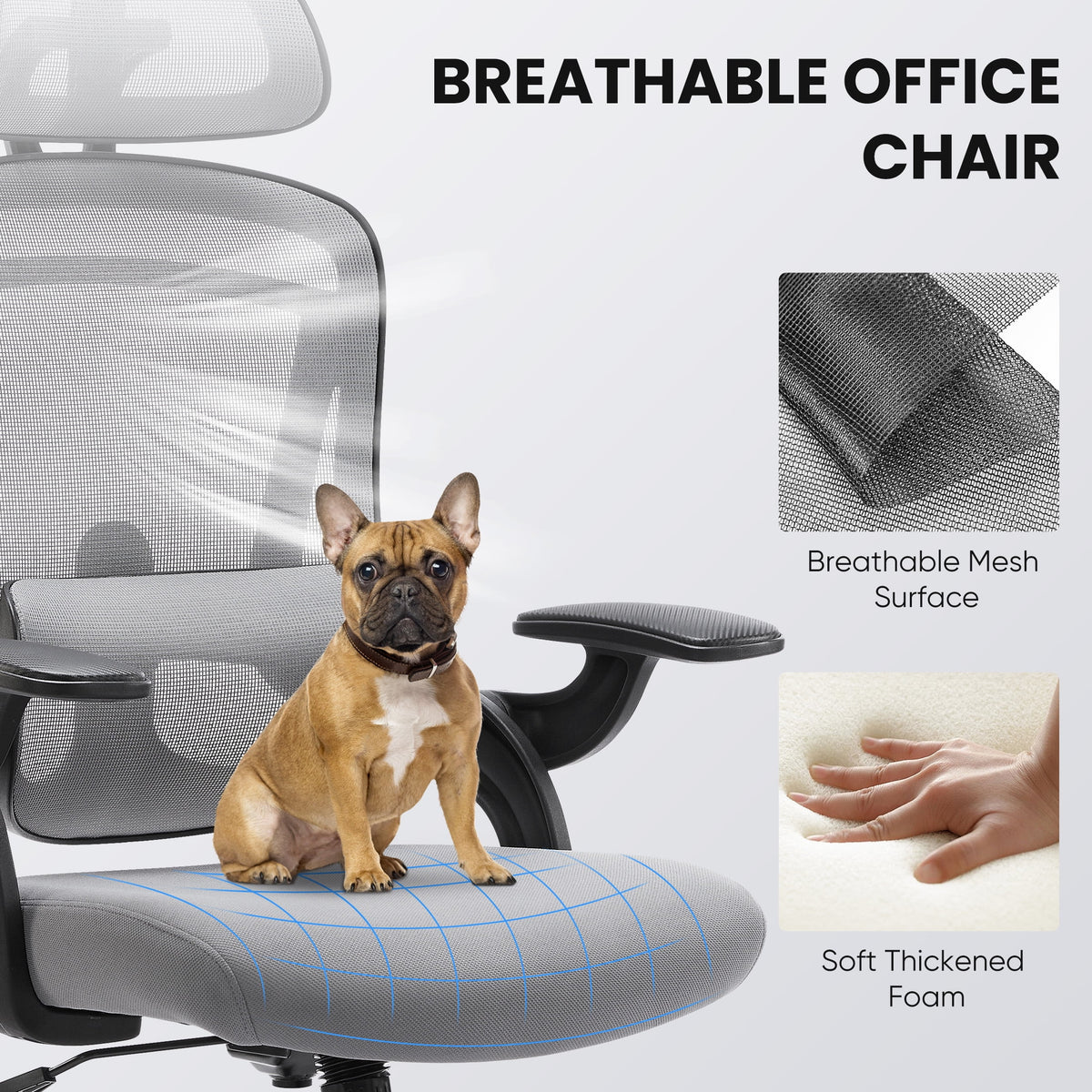 CONCETTA Ergonomic High Back Office Chair with Adjustable Lumbar Support, Headrest for Adults, Black