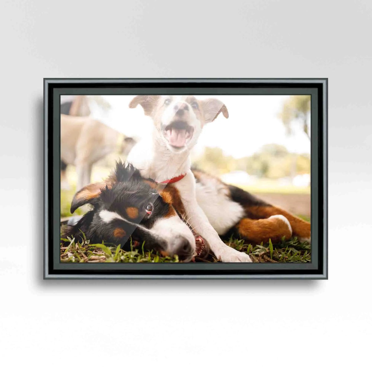 20x48 Frame Black Passaggi Solid Wood Picture Frame Width 1.5 Inches | Interior Depth 0.5 Inches |