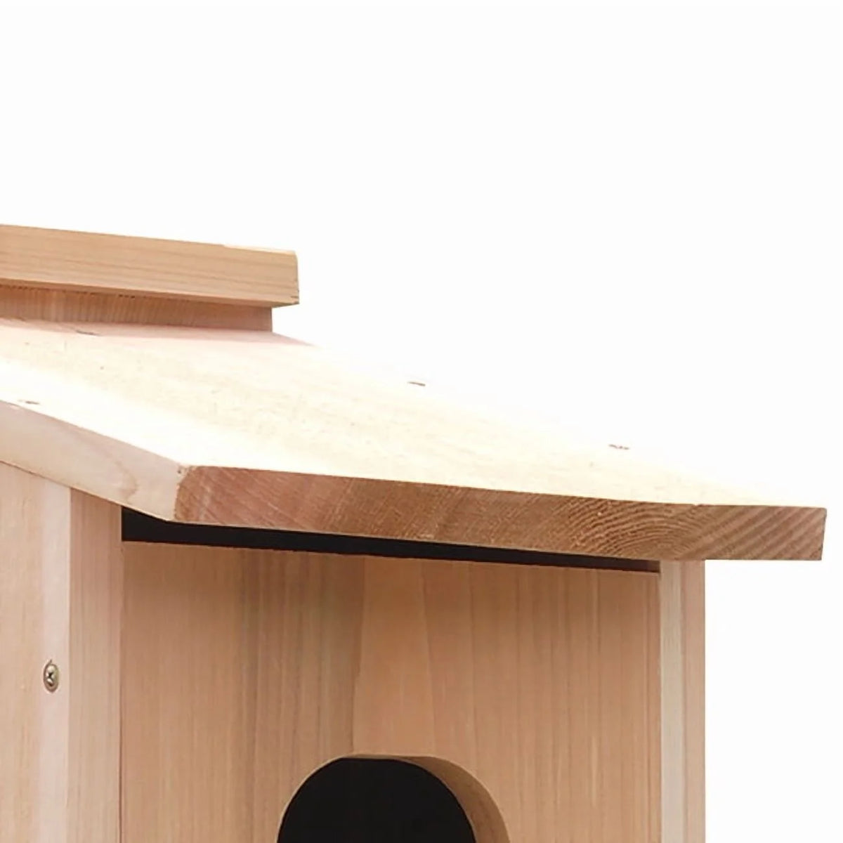 Audubon Wood Duck House