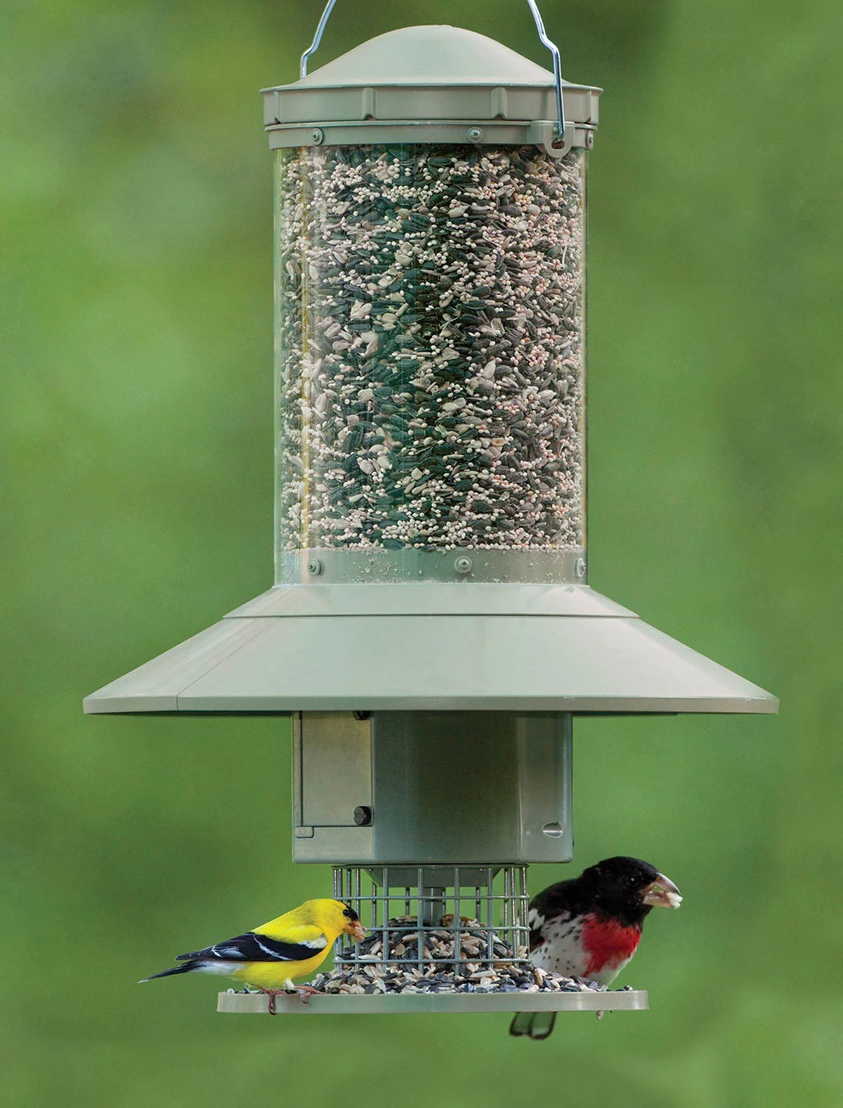 Wingscapes Autofeeder Squirrel-Resistant Bird Feeder with X-Large Capacity and Timer Control Settings, Green