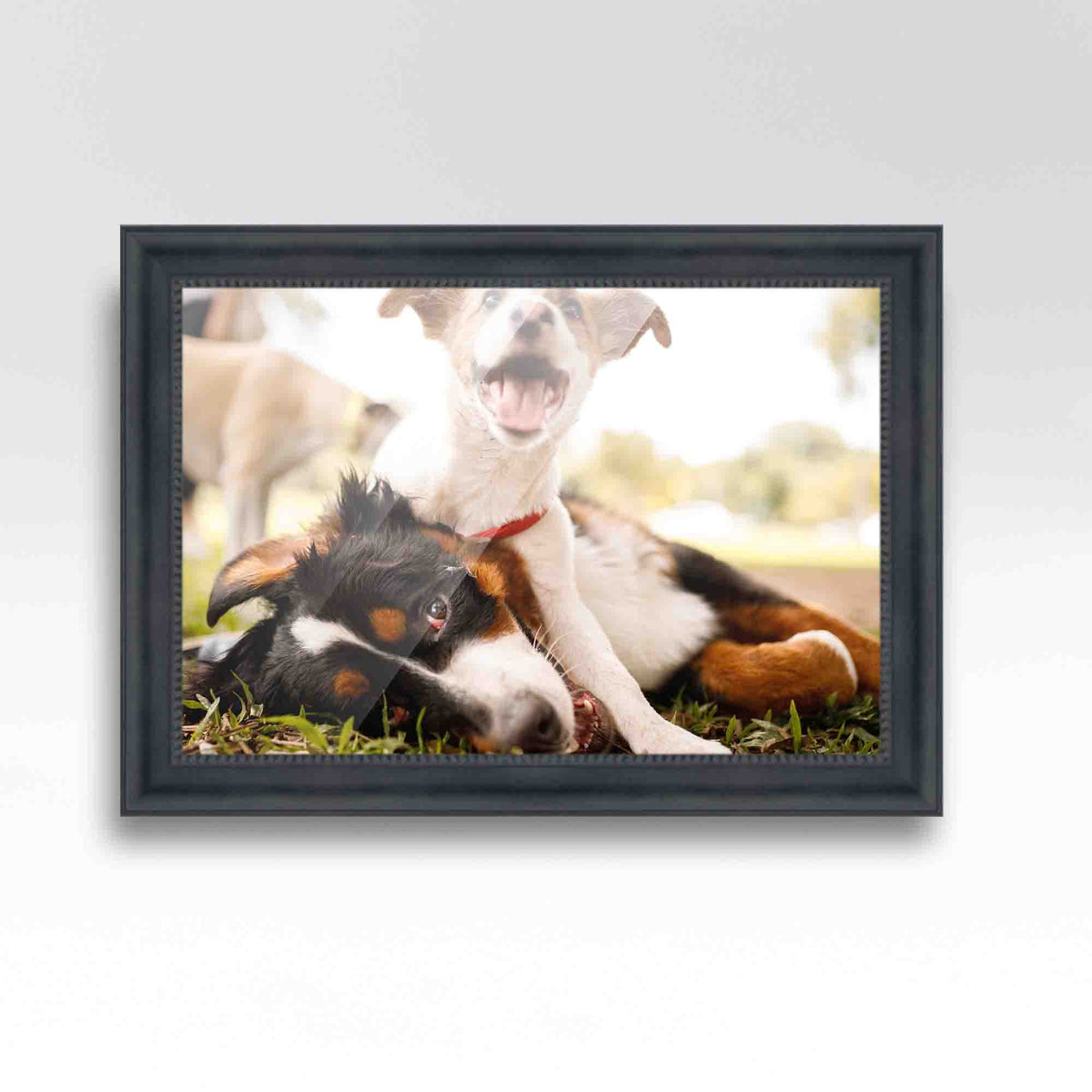20x48 Frame Black Passaggi Solid Wood Picture Frame Width 1.5 Inches | Interior Depth 0.5 Inches |