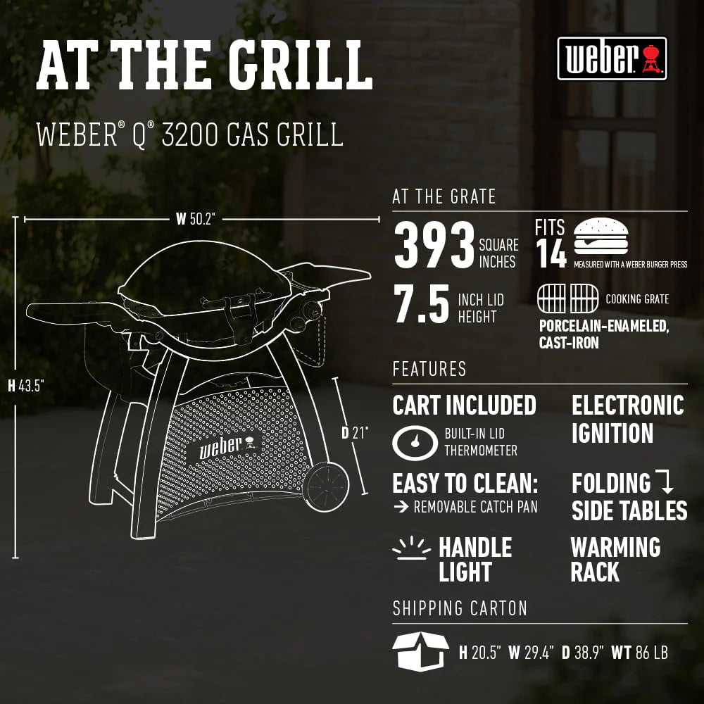 Q 3200 Liquid Propane Gas Grill in Titanium