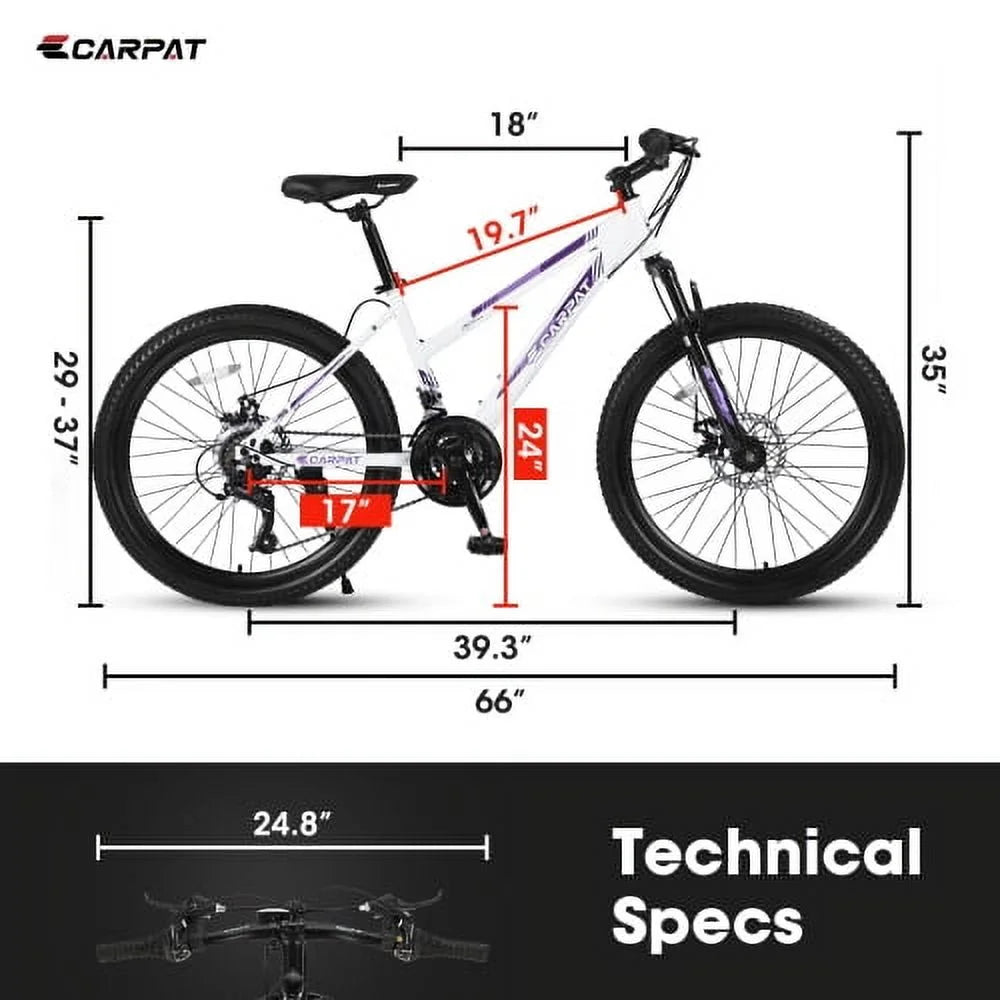 Raistyw Mountain Bikes for Adult, 24 inch Womens Bicycle Shimano 21 Speed with Dual Disc Brakes, Pink