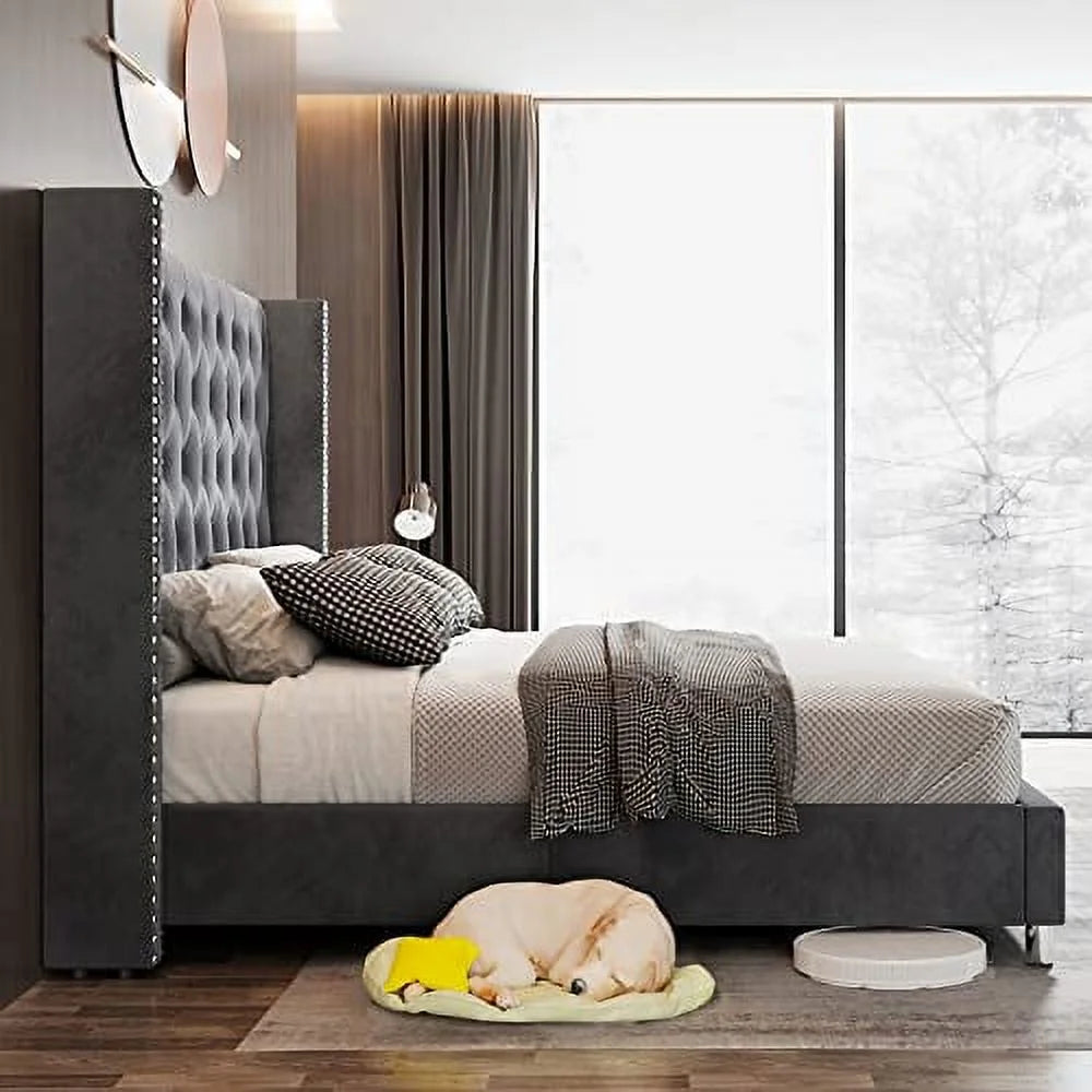 VanAcc Queen Bed Frame Upholstered Bed Wingback Headboard Velvet Tufted Diamond Button/No Box Spring Needed/Easy Assembly/Gray