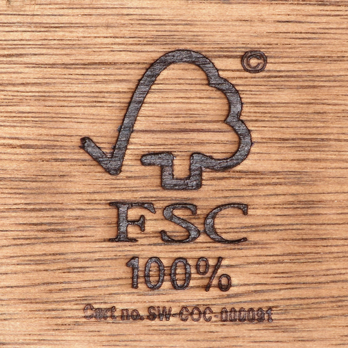 Amazonia Oceanfront 9-Piece Teak Wood 100% FSC Patio Dining Set