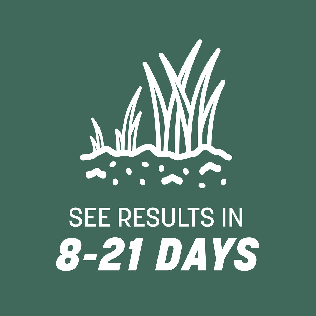 Pennington Kentucky 31 Tall Fescue Penkoted Grass Seed 50lb