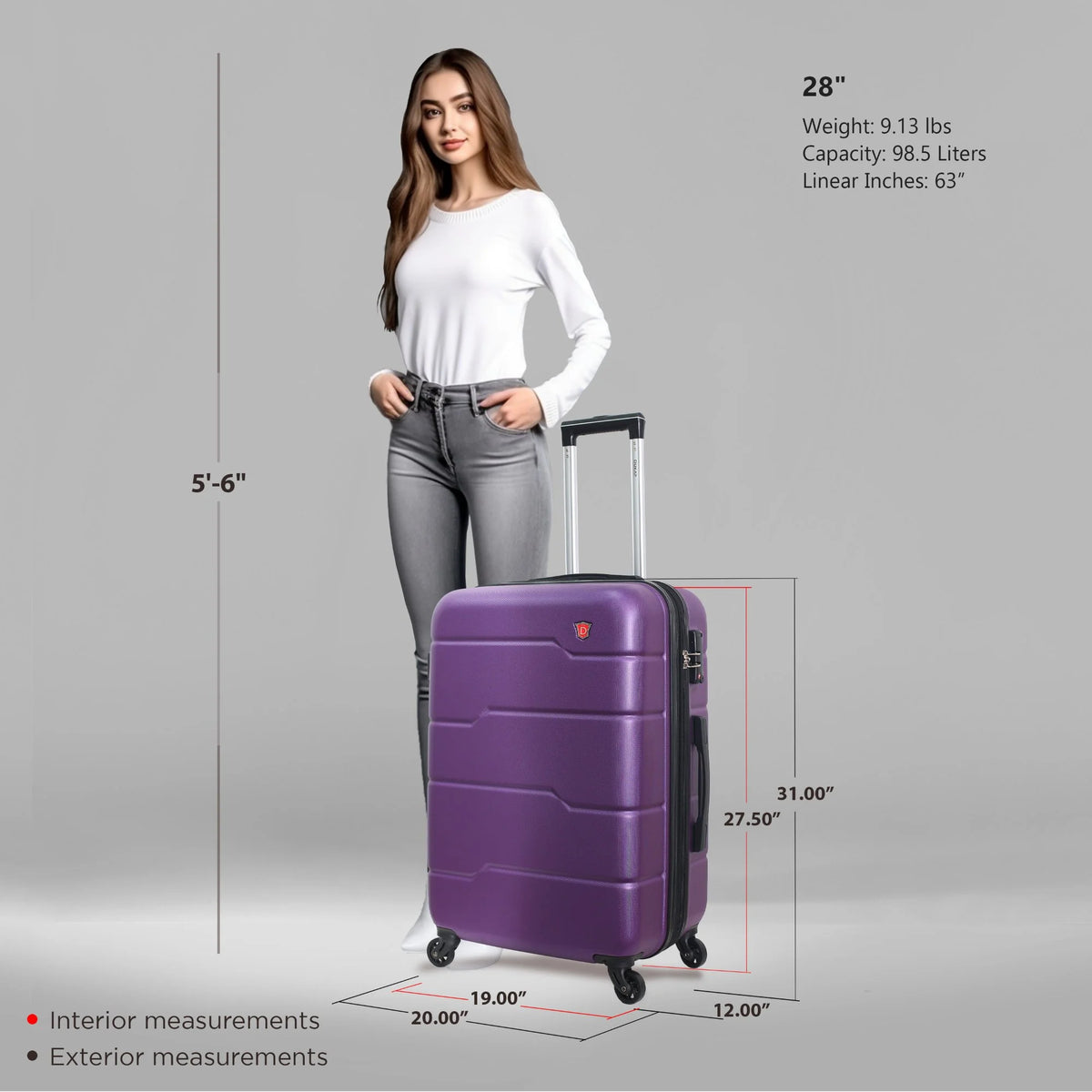 DUKAP Rodez 28" Lightweight Hardside Spinner Luggage